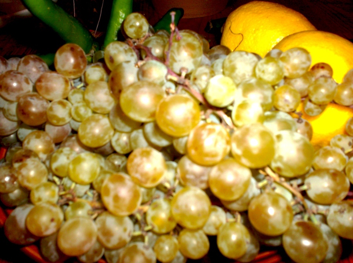 HPIM4111 (700x521, 192Kb)