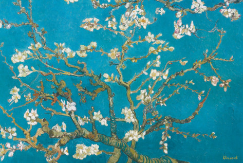 vincent-van-gogh-almond-branches-in-bloom-san-remy-c1890 (473x317, 89Kb)