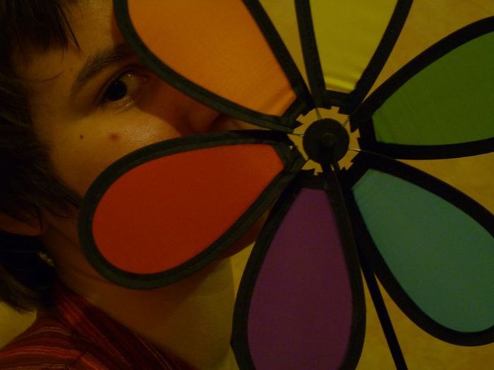 P1020320 (700x525, 32Kb)