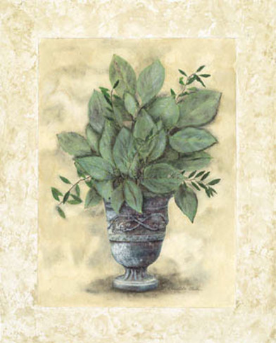 charlene-winter-olson-elegant-foliage-i (392x488, 53Kb)