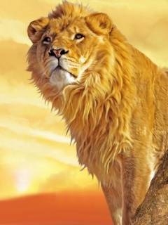 Sun_Lion (240x320, 30Kb)