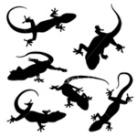   -ist2_3586727-gecko-silhouettes (380x380, 32Kb)