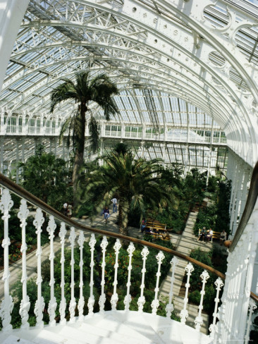 richard-ashworth-interior-of-the-temperate-house-restored-in-1982-kew-gardens-greater-london (366x488, 97Kb)