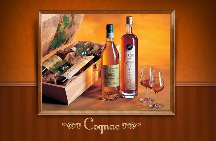mcognac (700x459, 78Kb)