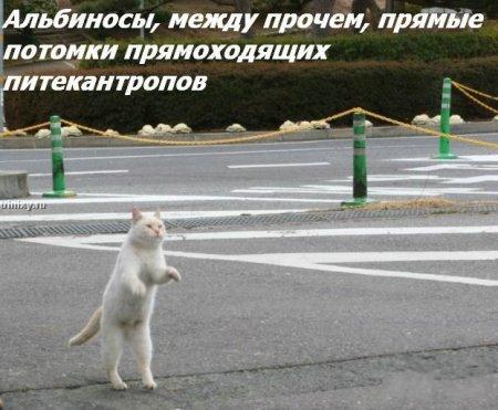 87c0062be67e766dc58483b644d10f7c_full (450x371, 36Kb)