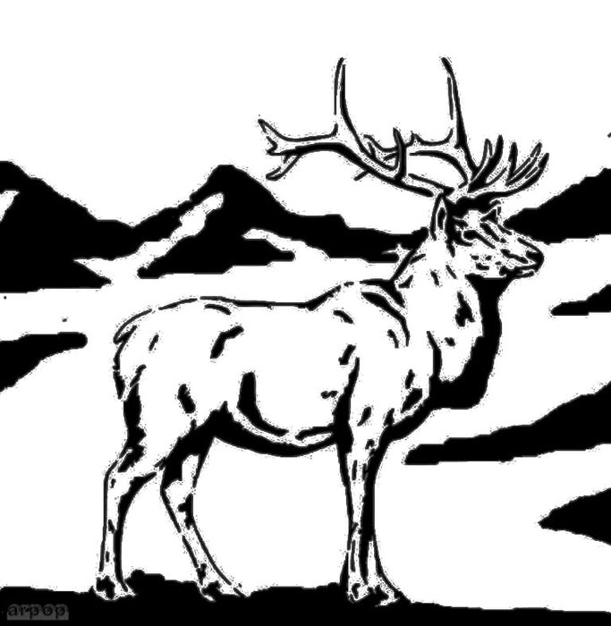 ELK (683x700, 61Kb)