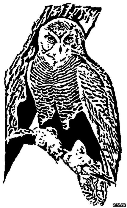 snowyowl (427x700, 86Kb)