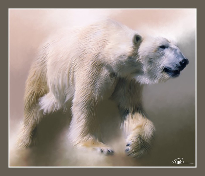 polar_bear (700x604, 60Kb)