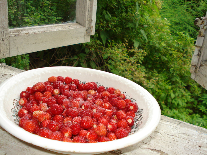 DSC01199 (700x525, 249Kb)