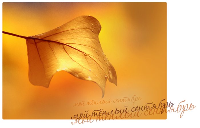 1315743188_yepig (700x449, 307Kb)