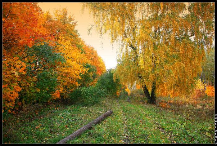 bfoto_ru_436 (700x471, 112Kb)