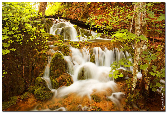bfoto_ru_2068 (700x472, 251Kb)