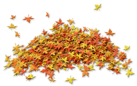 b72097cb0b4c (450x284, 190Kb)