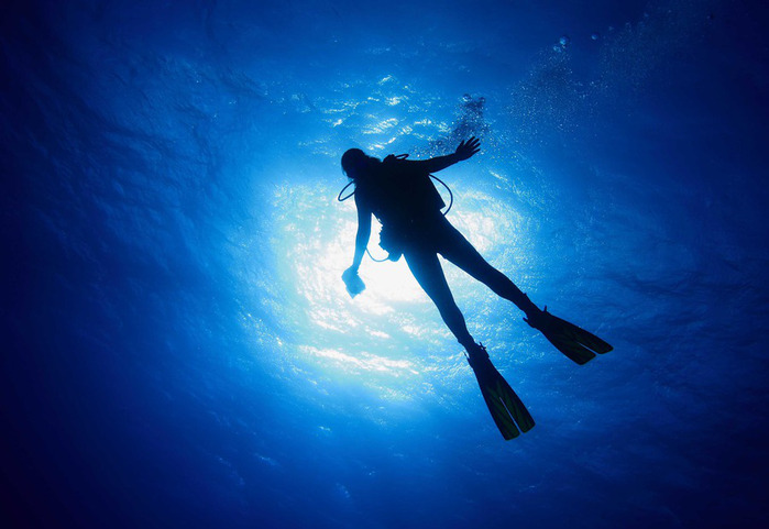 Diver (700x481, 87Kb)
