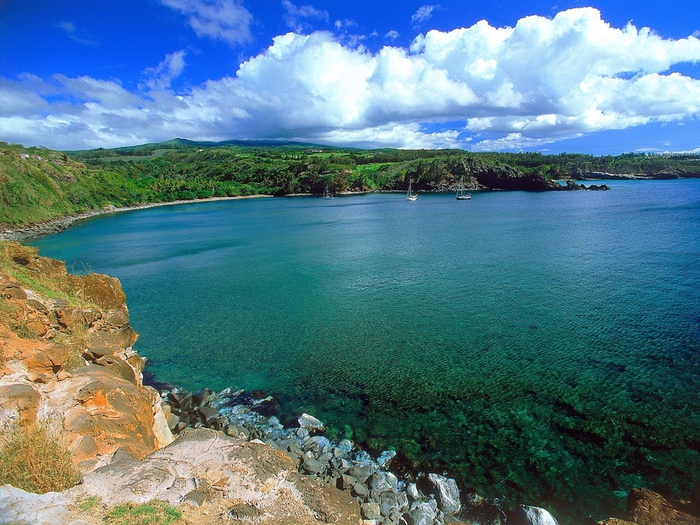 Honolua Bay,  Maui,  Hawaii (700x525, 355Kb)