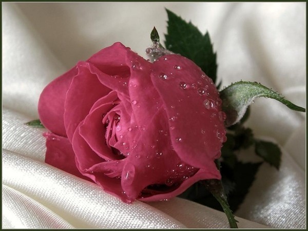 76560294_9231fa81e37a (600x450, 60Kb)