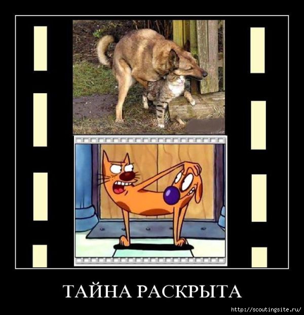78_770332ec73f6a404e3f114439038d8d3 (600x622, 127Kb)