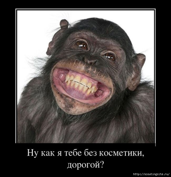 78_b629365aa4d4569e9651c343feeee6b1 (650x673, 136Kb)