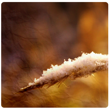 1328366982_002002 (380x380, 194Kb)