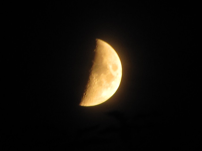 IMG_0005_6 (700x525, 19Kb)