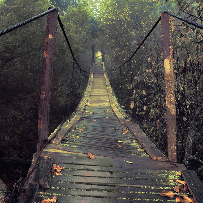 4138790_48691371_1252920810_most (700x700, 532Kb)