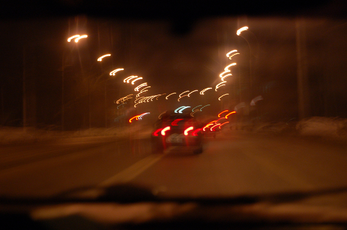DSC_0027 (700x464, 366Kb)