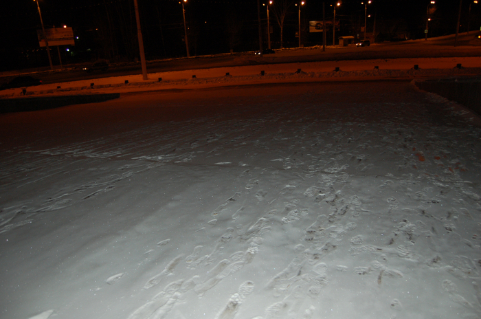 DSC_0034 (700x464, 362Kb)
