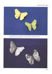  Origami_Butterflies_0071 (500x700, 186Kb)