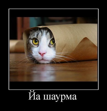 1274218621_3 (436x450, 25Kb)