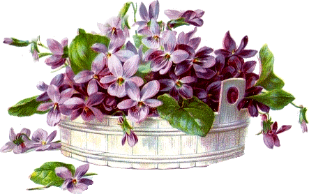 cajoline_vintageflowers4_1 (443x278, 86Kb)