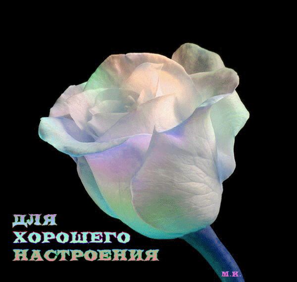 525192378ktyjxrf hs,rf   (600x569, 297Kb)