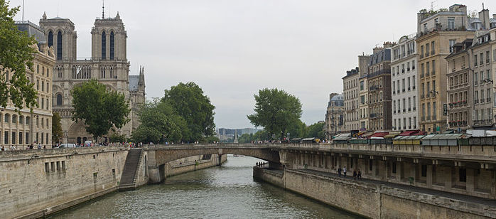 3623822_800pxPetitPont_from_Pont_SaintMichel_Aug_2010 (700x308, 59Kb)