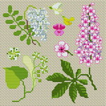  Herbarium_flowers_nature_plants_herb_garden-dd635 (350x350, 78Kb)