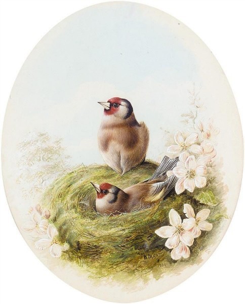 GOLDFINCHES (484x600, 62Kb)