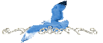0_6c8c5_1192c66d_S (150x63, 3Kb)