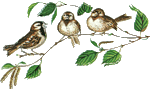 0_6c8cc_76fd04d3_S (150x89, 6Kb)