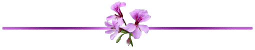 2d690e17ed04 (510x100, 35Kb)