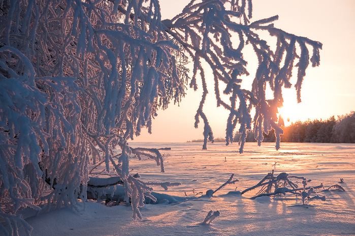 0_6de4b_668851f0_XL (700x466, 211Kb)