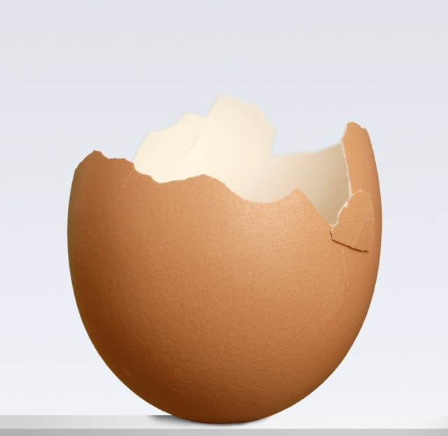 eggshell (640x623, 154Kb)