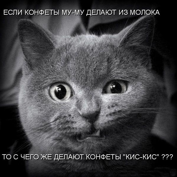 226 (600x600, 153Kb)