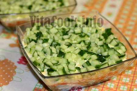 salat-lubovnica-10 (450x300, 100Kb)