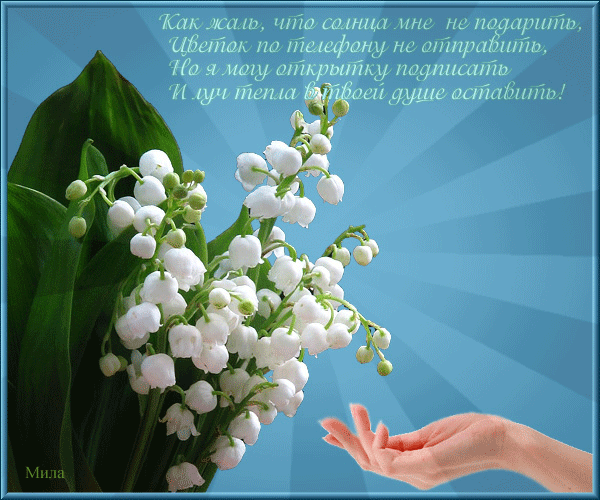 С днем рождения весенние цветы (Много фото!) - витамин-п-байкальский.рф