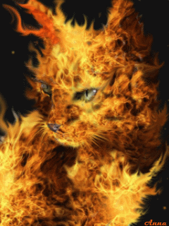 1650 (240x320, 290Kb)