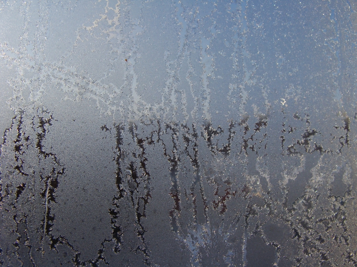 DSC02428 (700x525, 342Kb)