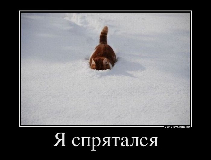 82182621_ya-spryatalsya (700x533, 37Kb)