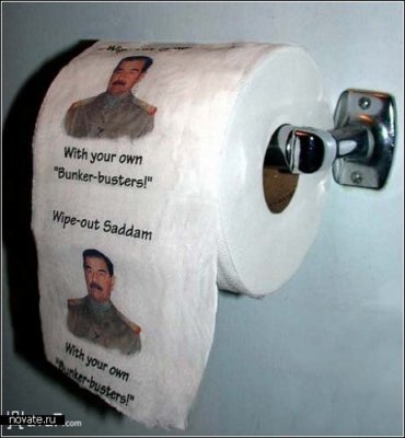1230726543_toilet_paper2 (370x400, 25Kb)