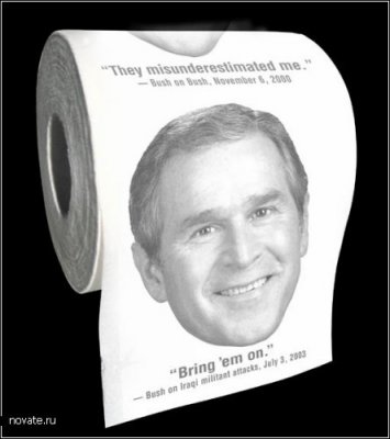 1230726543_toilet_paper8 (355x400, 20Kb)