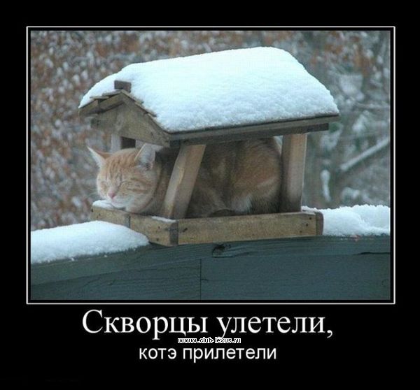 3a06572f (600x558, 43Kb)
