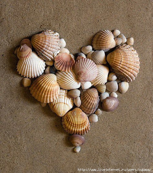 172544229443181157_InjvoR15_c (500x564, 299Kb)