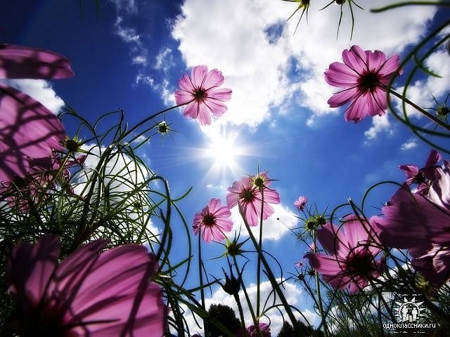  (640x480, 78Kb)